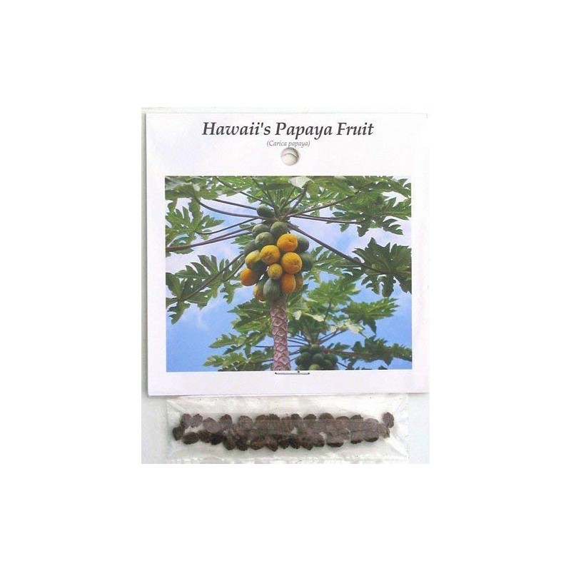 Hawaiian Papaya Fruit Seeds ~ Grow Hawaii