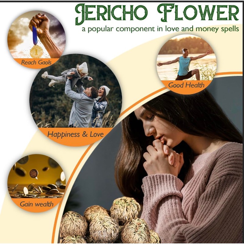 EquSym 4-Pack Large Premium Dried Rose of Jericho, Selaginella Resurrection