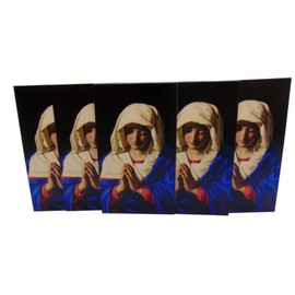 Our Lady of Grace Holy Card Set Prayer on Back Miraculous Mary Madonna, Pack of 10