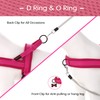 Didog No Pull Dog Harness with Soft Mesh Padded,Reflective &