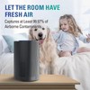 STEALTH Air Purifiers (Deep Black)