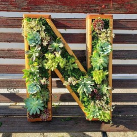 QUINTRA Decorative Wall Wooden Letters with Artificial Succulents Bryophytes Vertical Artificial Garden Pots Living Wall Art Flower Pots (N, One Size)