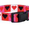 Native Pup Valentine's Day Heart Dog Collar
