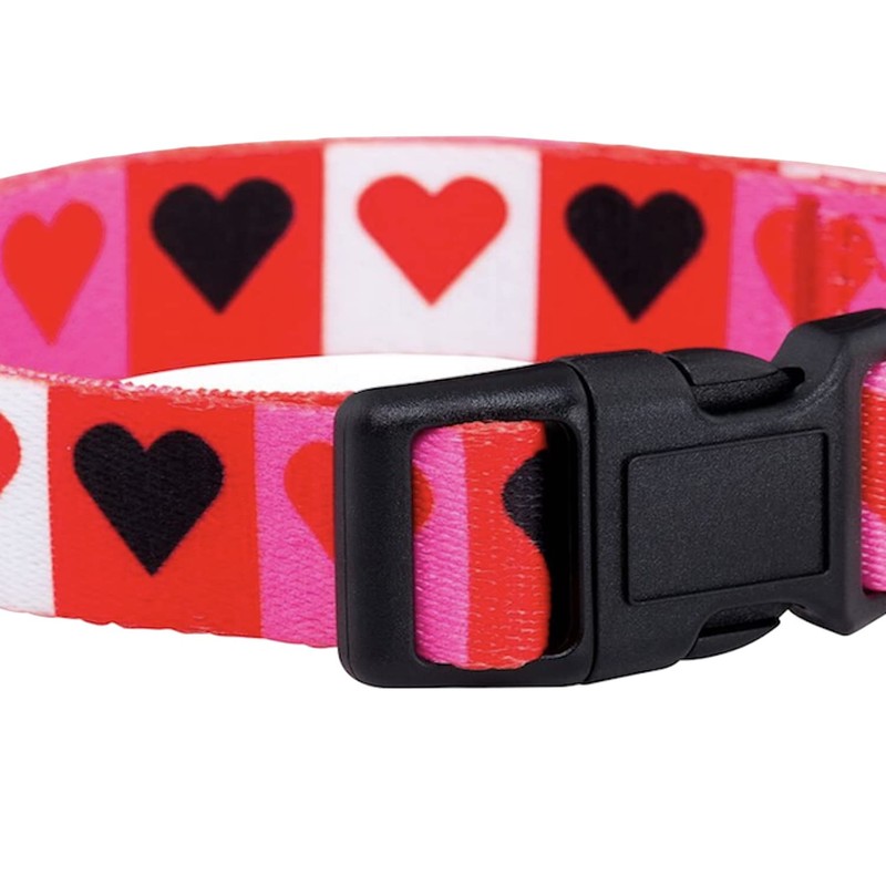 Native Pup Valentine's Day Heart Dog Collar