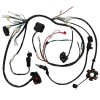 Unbranded/Generic Full Electric Engine Wiring Harness Loom GY6 150cc Quad