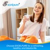 EXCELPURE WHR1RXD1 Replacement for EDR1RXD1 Refrigerator Water Filter, Everydrop® Filter