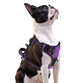 PUPTECK No Pull Dog Harness Small Sized, Adjustable Reflective Dog Harness with Handle Easy Control, Comfortable Soft Padded Pet Vest Harness for Small Dogs, Solid Purple S