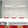 Diodesy- Pack of 10 F8T5/DL T5 Linear Fluorescent Light Bulb,