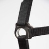 PFIFF Jocose 102921 Safety Halter Paddock Headcollar Black Shetty