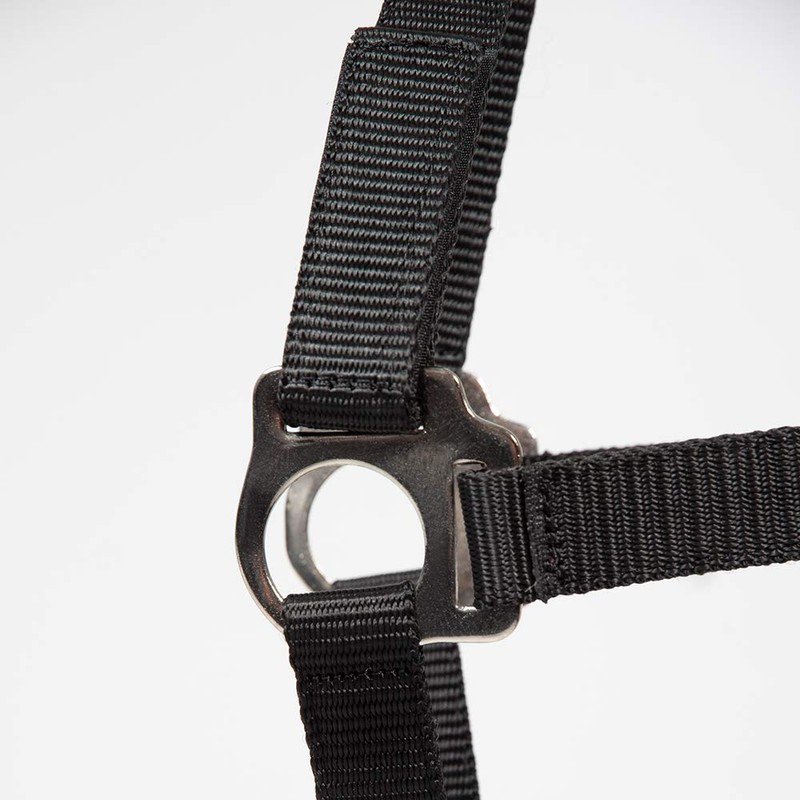 PFIFF Jocose 102921 Safety Halter Paddock Headcollar Black Shetty