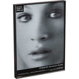 Fineline Picture Frame Color: Black, Size: 18" x 24" Frame/None Mat