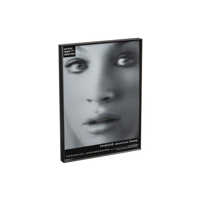 Fineline Picture Frame Color: Black, Size: 18" x 24" Frame/None