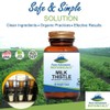 Pure Mountain Botanicals Milk Thistle Capsules - 90 Kosher Vegan