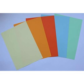 Made in Germany 25 Sheets Coloured Paper Mix Basic Light A4 160 g/m² (5 Colours x 5 Sheets) - Printer Paper, Copy Paper, Universal Paper for Printing, Crafts & Folding, Paper for Home & Office