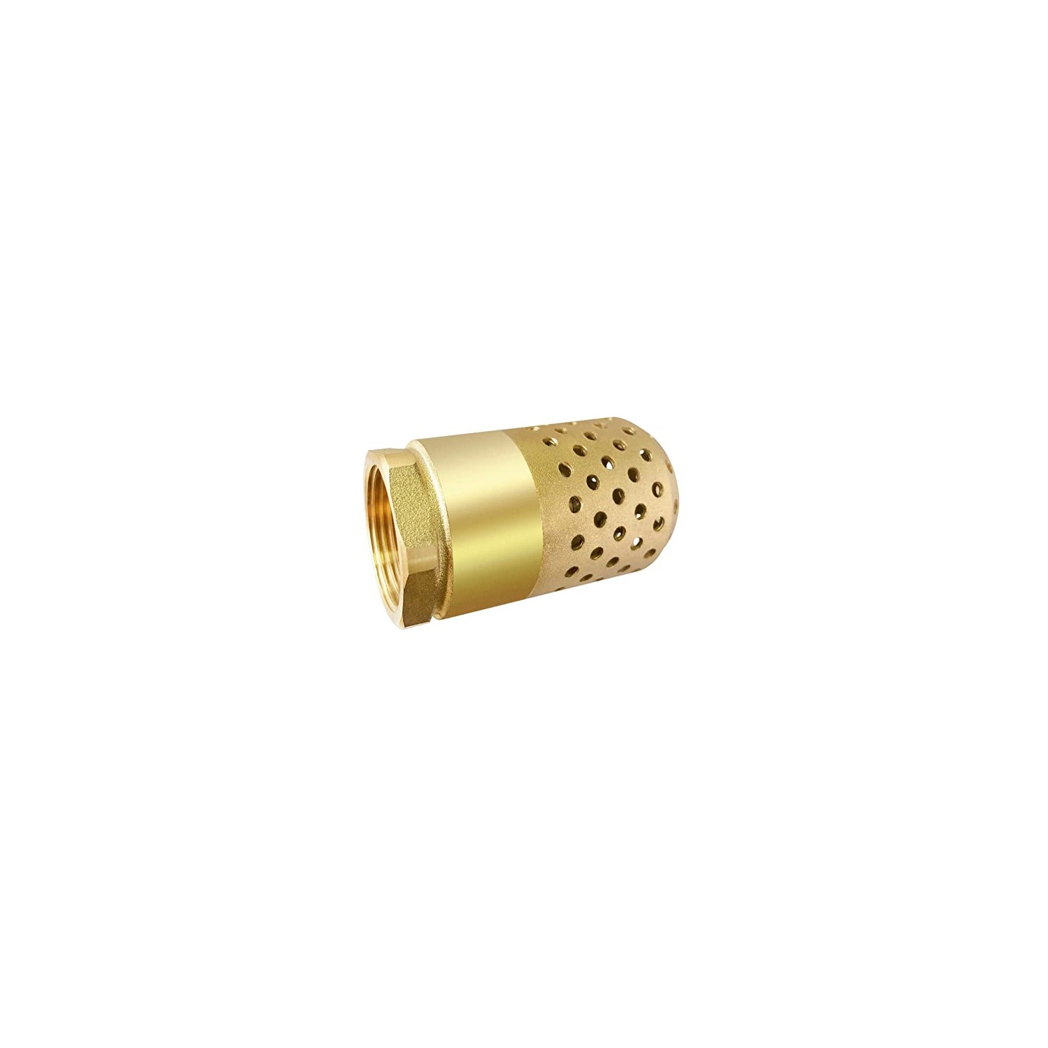 Brass Foot Valve 1 inch NPT Heavy Duty Spring Mesh Check Valve Female ...