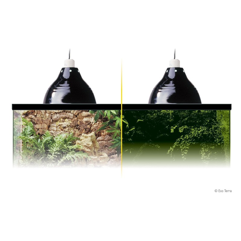 Exo Terra PT2056 Glow Light/Reflector, Large, 25 cm