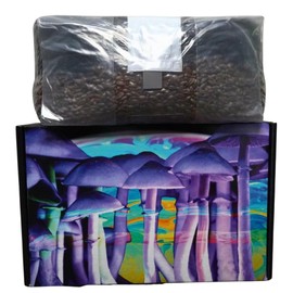 6 Pound Mushroom Grow Bag - All in One Mushroom Grow Kit in A Bag - Sterilized Grain Spawn and Bulk Substrate - Injector Port - Grow The Mushrooms in The Bag (1)