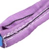 Lifting Sling Hoist Webbing 1T Polyester Rigging Strap Purple for