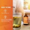 KITIVE Black Walnut Wormwood Herbal Drops: Wormwood Black Walnut Clove