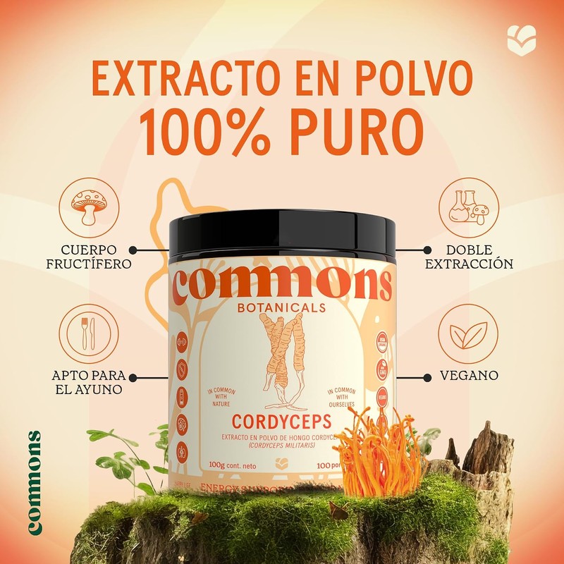 Commons Hongos Adaptógenos - Hongo Cordyceps - Extracto Puro en