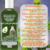 2 Shampoos De Romero Anti-caída, Fortalece, Nutre E Hidrata