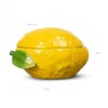 ByOn Lemon 5228624410 - Ciotola con coperchio a forma di