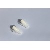 SpentShells® Filtered Ear Plugs White/Clear Ear Plugs Reusable Soft Silicone