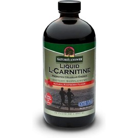 Nature's Answer Liquid L-Carnitine Raspberry Flavor, 1200 mg, 16 fl oz Cellular Energy Dietary Supplement, 1 Count / Nature s Answer 액상 L-카르니틴 라즈베리 맛 1200mg 16액량 온스 세포 에너지 건강 보조 식품, 1개