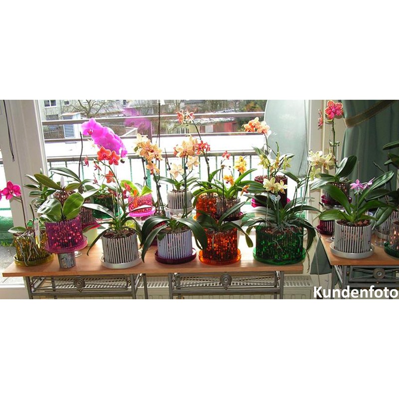 Orchitop M Set Orchid Pot with Saucer for All Orchids