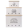 Kitchen Vegetable Storage Tins Set of 3 for Potato Onion