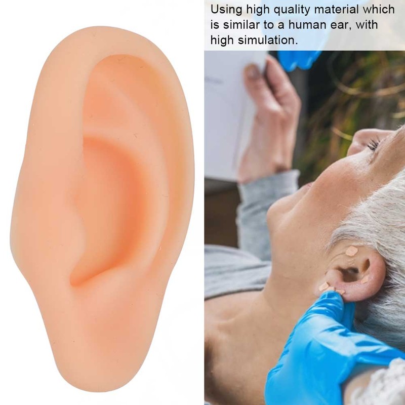Professional Simulated Ear Model Acupuncture Practice Massage Teaching ToolLeft