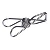 Ever Eco Stainless Steel Clothes Pegs, Set of 20