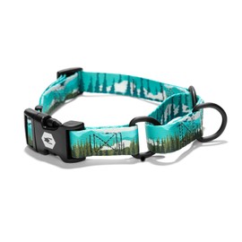 Wolfgang Premium Martingale Dog Collar for Small Medium Large Dogs, Made in USA, GreatEscape Print, Medium (1 Inch x 14-18 Inch)