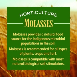Medina Horticultural Molasses For Plants, Turf, and Soil 32 fl oz by Medina