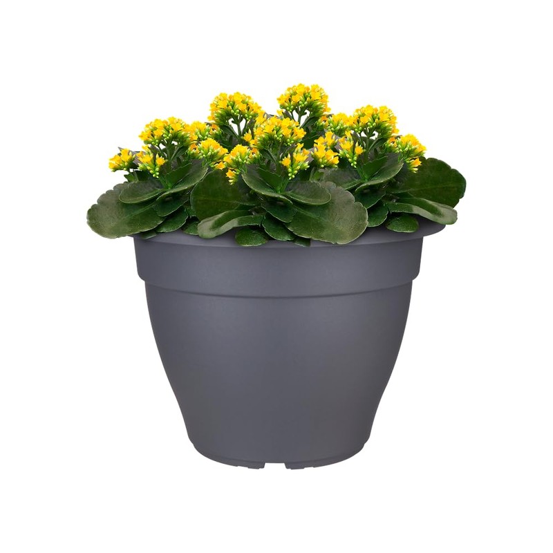 elho Torino Campana 25 cm - Black/Anthracite