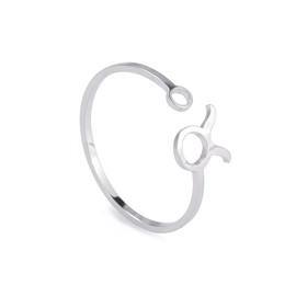 Dreamtimes Stainless Steel Zodiac Sign Rings for Women 12 Zodiac Sign Open Ring Aries Lion Virgo Gemini Libra Pisces Scorpio Birthday Gift, Stainless Steel, No Gemstone