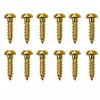 GOTOH (12) Gotoh Guitar Tuner Screws for Tuning Keys SG301,