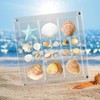Artlunar 18 Grids Square Clear Acrylic Shadow Boxes Mini Seashell