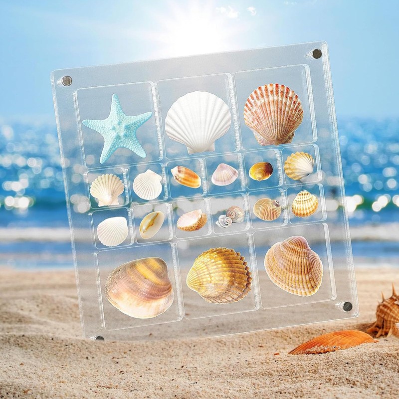 Artlunar 18 Grids Square Clear Acrylic Shadow Boxes Mini Seashell