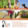 FIDWALL 6-Piece Dog Whistle Training Set, 2 Clicker Dogs, 4