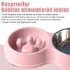 Comedero Lento para Perros, Dog Bowl Slow Feeder, Mascota Alimentador