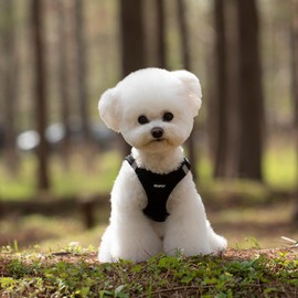 SGSPET Dog Harness and Leash Set, Adjustable Mesh Puppy Harness, No Pull Soft Breathable Reflective Vest Pet Harnesses for Small to Large Dogs, Cats, Dog Vest Harness for Pets (Black, L)