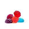 Albanese World's Best Mixed Gummi Berries, 5lbs of Candy