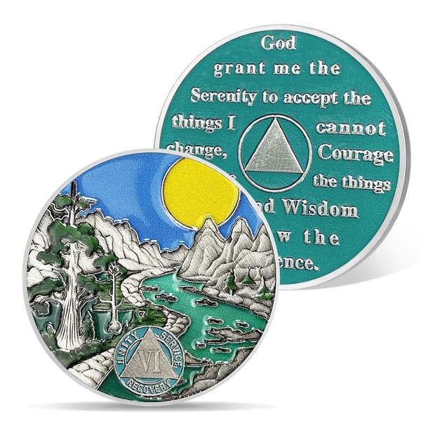 AtSKnSK 6 Year Sobriety Coin 1-10 Years Sobriety Coins with