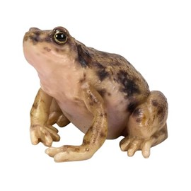 Uvia H20224 Frog (Small) 2.0 x 2.0 x 1.6 inches (5 x 5 x 4 cm), Doll, Figurine, Figurine, Animal, Garden, Decoration, Frog