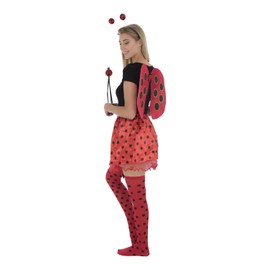 Zac's Alter Ego Fancy Dress 5 Piece Ladybird Set