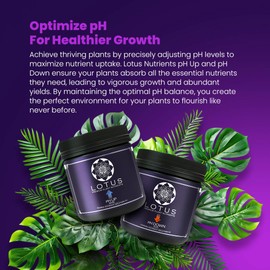 Lotus Nutrients pH Down 18 oz. for Hydro, Soil, or Coco Coir — Longest-Lasting Easy-to-Use Powder Adjusts Nutrient Solution pH for Healthier Plants