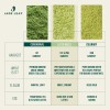 Jade Leaf - Polvo De Té Verde Matcha Orgánico