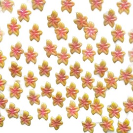 Set 10Pcs Gel 3D Yellow Pink Orchid Flowers Nails Charms Handmade by Gel, Design For Medium & Long Nail 3D Flower For Nail Art Floral Salon Decor For Women Girls (Yellow Pink Orchid Medium 10Pcs)