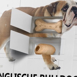 printplanet Dog Advent Calendar with Treats - Motif I Love English Bulldog - Christmas Calendar for Dogs - 2024